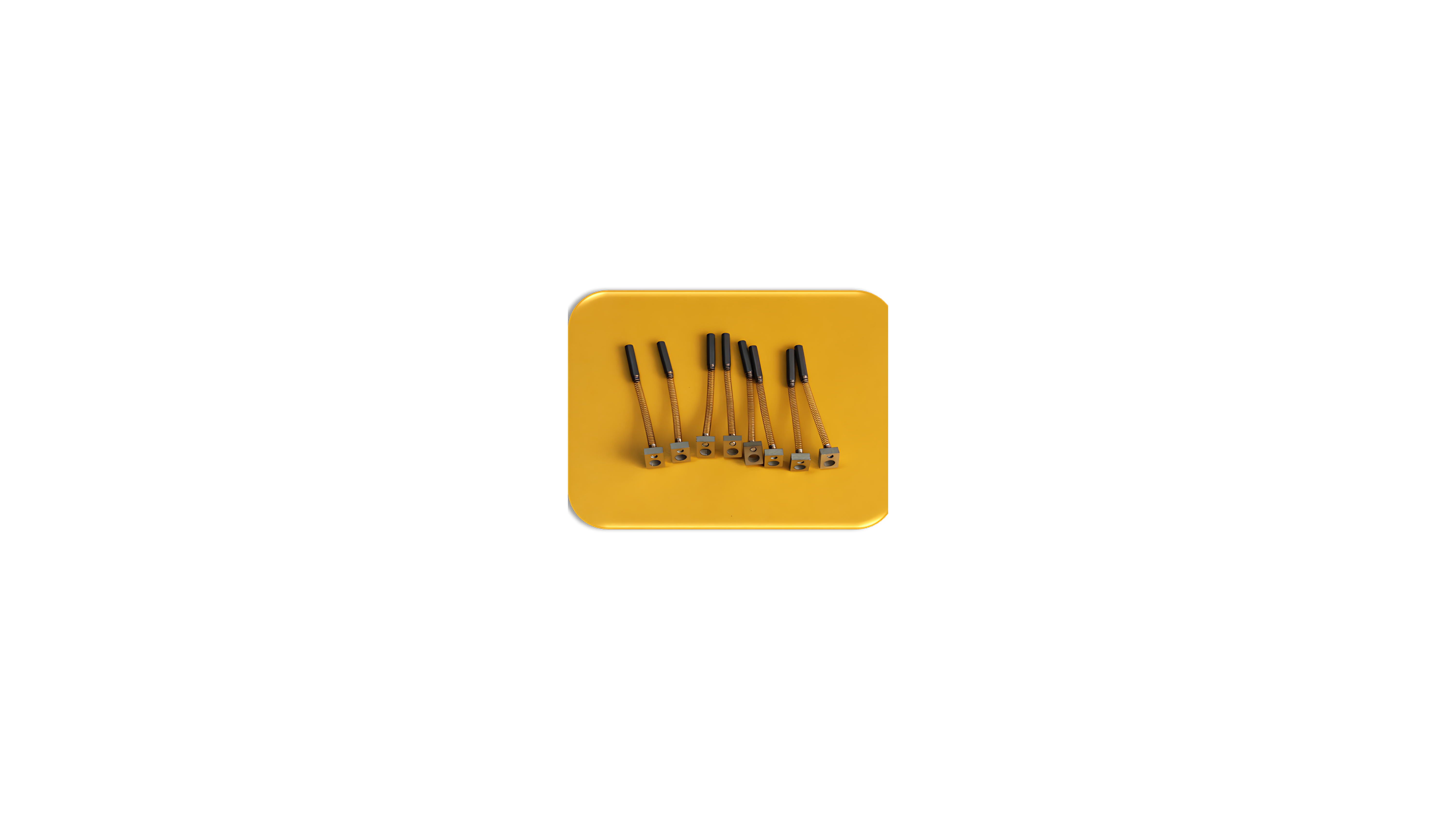 Carbon Brush